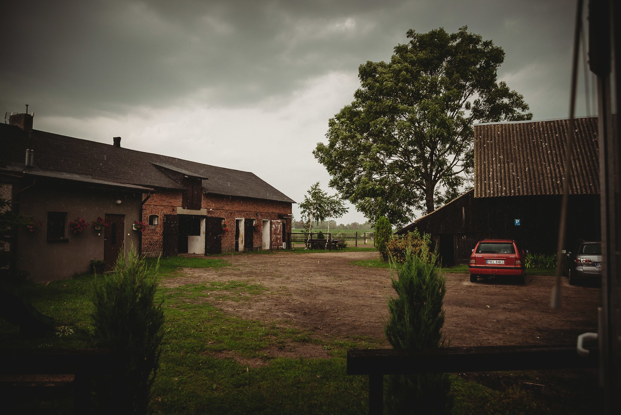Monika i Michał, wesele w Paryżu i sesja plenerowa w stadninie koni w Czołowie 422