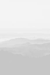 Product Gallery 9