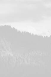 Sidebar Gallery Full-Width 7
