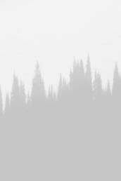 Sidebar Slides Full-Width 5