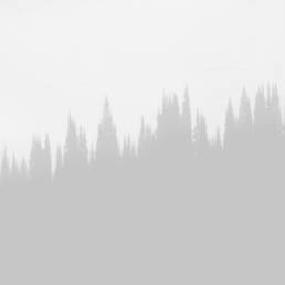 Sidebar Slides Full-Width 7
